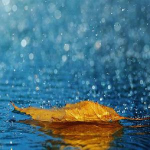 免费在线观看AV网站
